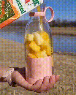 Portable Recharge-able Mini Juicer